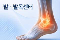 발발목